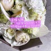 ヒメ日記 2025/12/16 14:37 投稿 じゅり 人妻小旅行