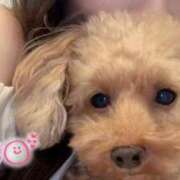 ヒメ日記 2025/12/21 19:47 投稿 じゅり 人妻小旅行