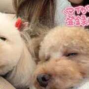 ヒメ日記 2025/12/27 12:17 投稿 じゅり 人妻小旅行