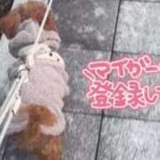 ヒメ日記 2025/12/28 19:27 投稿 じゅり 人妻小旅行