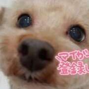 ヒメ日記 2025/12/29 20:07 投稿 じゅり 人妻小旅行