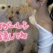 ヒメ日記 2026/01/06 09:17 投稿 じゅり 人妻小旅行