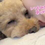 ヒメ日記 2026/01/08 08:57 投稿 じゅり 人妻小旅行