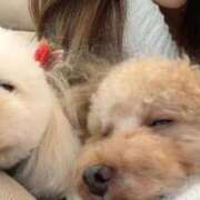 ヒメ日記 2026/01/12 14:07 投稿 じゅり 人妻小旅行