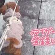 じゅり おはよ〜🫧 人妻小旅行