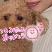 ヒメ日記 2026/01/18 18:07 投稿 じゅり 人妻小旅行