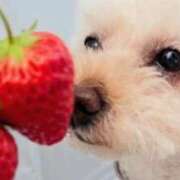 ヒメ日記 2026/03/21 18:55 投稿 じゅり 人妻小旅行