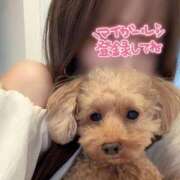 ヒメ日記 2026/05/17 16:35 投稿 じゅり 人妻小旅行