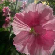 ヒメ日記 2025/06/22 17:05 投稿 らむ ハピネス＆ドリーム 松山道後温泉