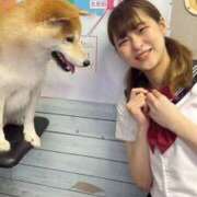 ヒメ日記 2025/09/12 12:45 投稿 らむ ハピネス＆ドリーム 松山道後温泉