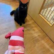 ヒメ日記 2025/10/01 07:35 投稿 らむ ハピネス＆ドリーム 松山道後温泉