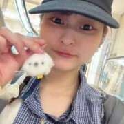 ヒメ日記 2025/11/04 17:35 投稿 らむ ハピネス＆ドリーム 松山道後温泉