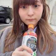 ヒメ日記 2025/11/13 15:05 投稿 らむ ハピネス＆ドリーム 松山道後温泉