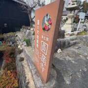 ヒメ日記 2026/02/03 13:08 投稿 らむ ハピネス＆ドリーム 松山道後温泉