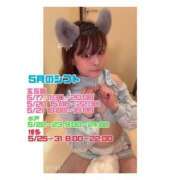 ヒメ日記 2026/05/12 21:38 投稿 らむ ハピネス＆ドリーム 松山道後温泉