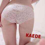 ヒメ日記 2025/07/22 08:59 投稿 楓 素人妻達☆マイふぇらレディー