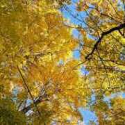 ヒメ日記 2025/11/23 13:26 投稿 楓 素人妻達☆マイふぇらレディー