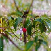 ヒメ日記 2025/09/30 08:16 投稿 安達（アダチ） アバンチュール(五反田)