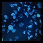 ヒメ日記 2025/10/03 07:31 投稿 安達（アダチ） アバンチュール(五反田)