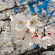 ヒメ日記 2026/04/04 22:16 投稿 安達（アダチ） アバンチュール(五反田)