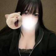 ヒメ日記 2026/04/09 10:28 投稿 まいめろ・SP アニバーサリー