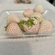 ヒメ日記 2025/06/05 12:45 投稿 みずほ 千葉松戸ちゃんこ