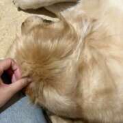 ヒメ日記 2025/06/11 20:26 投稿 みずほ 千葉松戸ちゃんこ