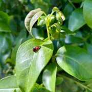 ヒメ日記 2025/06/20 17:14 投稿 みずほ 千葉松戸ちゃんこ