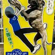 ヒメ日記 2025/06/27 17:10 投稿 みずほ 千葉松戸ちゃんこ