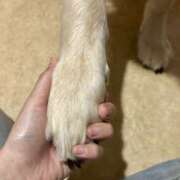 ヒメ日記 2025/07/10 13:03 投稿 みずほ 千葉松戸ちゃんこ