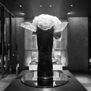 ヒメ日記 2025/10/20 10:26 投稿 みずほ 千葉松戸ちゃんこ