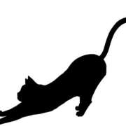 ヒメ日記 2025/10/26 22:57 投稿 みずほ 千葉松戸ちゃんこ