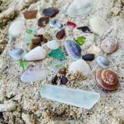 ヒメ日記 2025/11/01 15:13 投稿 みずほ 千葉松戸ちゃんこ