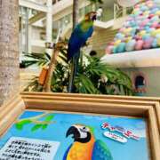 ヒメ日記 2025/11/02 09:46 投稿 みずほ 千葉松戸ちゃんこ