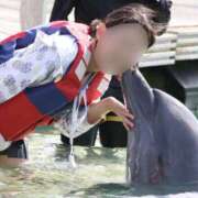 ヒメ日記 2025/11/03 16:36 投稿 みずほ 千葉松戸ちゃんこ