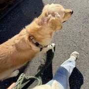 ヒメ日記 2025/11/12 09:15 投稿 みずほ 千葉松戸ちゃんこ