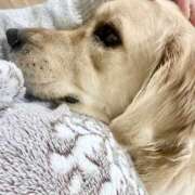 ヒメ日記 2025/11/25 19:44 投稿 みずほ 千葉松戸ちゃんこ