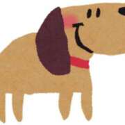 みずほ ラブレター 千葉松戸ちゃんこ