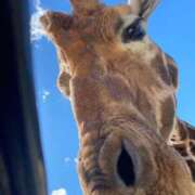 ヒメ日記 2025/12/11 20:07 投稿 みずほ 千葉松戸ちゃんこ