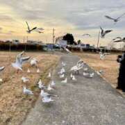 ヒメ日記 2025/12/12 19:34 投稿 みずほ 千葉松戸ちゃんこ