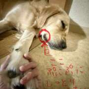 ヒメ日記 2025/12/21 13:58 投稿 みずほ 千葉松戸ちゃんこ