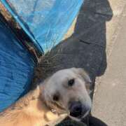 ヒメ日記 2025/12/31 19:07 投稿 みずほ 千葉松戸ちゃんこ