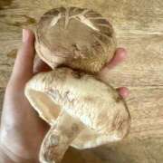 ヒメ日記 2026/01/16 09:28 投稿 みずほ 千葉松戸ちゃんこ