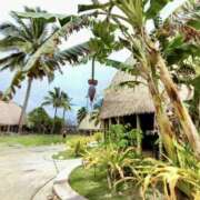 ヒメ日記 2026/01/18 01:05 投稿 みずほ 千葉松戸ちゃんこ