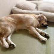 ヒメ日記 2026/01/29 19:42 投稿 みずほ 千葉松戸ちゃんこ