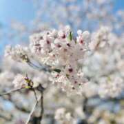 ヒメ日記 2026/02/13 10:40 投稿 みずほ 千葉松戸ちゃんこ