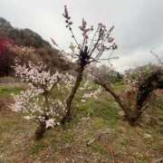 ヒメ日記 2026/03/04 13:10 投稿 みずほ 千葉松戸ちゃんこ