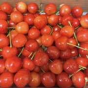 ヒメ日記 2026/03/09 15:55 投稿 みずほ 千葉松戸ちゃんこ