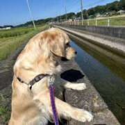 ヒメ日記 2026/03/23 12:02 投稿 みずほ 千葉松戸ちゃんこ