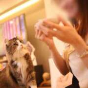 ヒメ日記 2025/11/16 02:29 投稿 あやな OKINI八王子